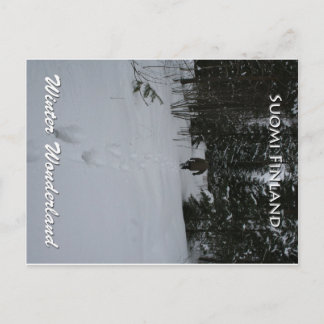 Carte Postale Winter Wonderland