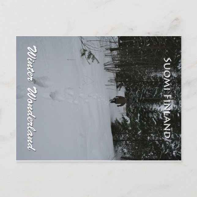 Carte Postale Winter Wonderland (Devant)