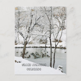 Carte Postale Winter Wonderland at Duck Pond Park