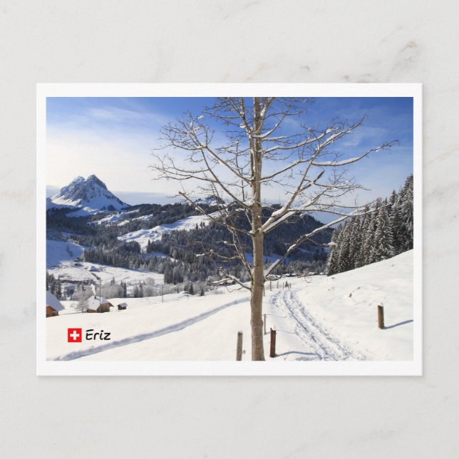 Carte Postale Winterland d'hiver - Suisse (Devant)