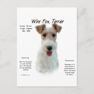 Carte Postale Wire Fox Terrier Histoire; à propos de fil fox ter