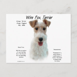 Carte Postale Wire Fox Terrier Histoire; à propos de fil fox ter