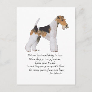 Carte Postale Wire Fox Terrier Rainbow Bridge