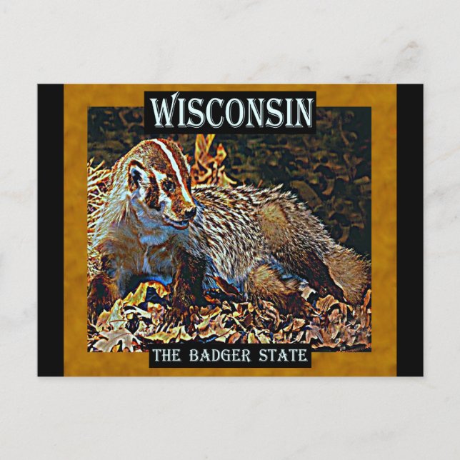Carte Postale Wisconsin L'État Badger (Devant)
