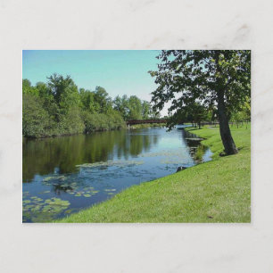 Carte Postale Wisconsin Medford Stream River Water Park Pique-ni