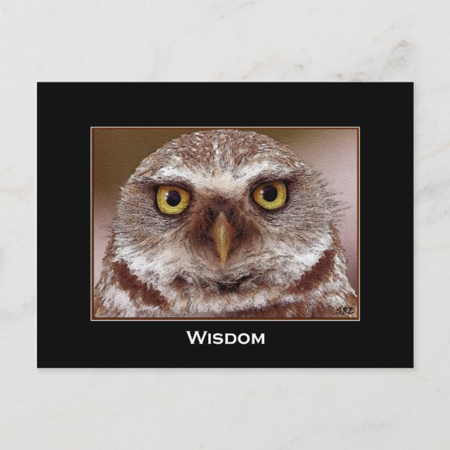 CARTE POSTALE WISDOM OWL (Devant)