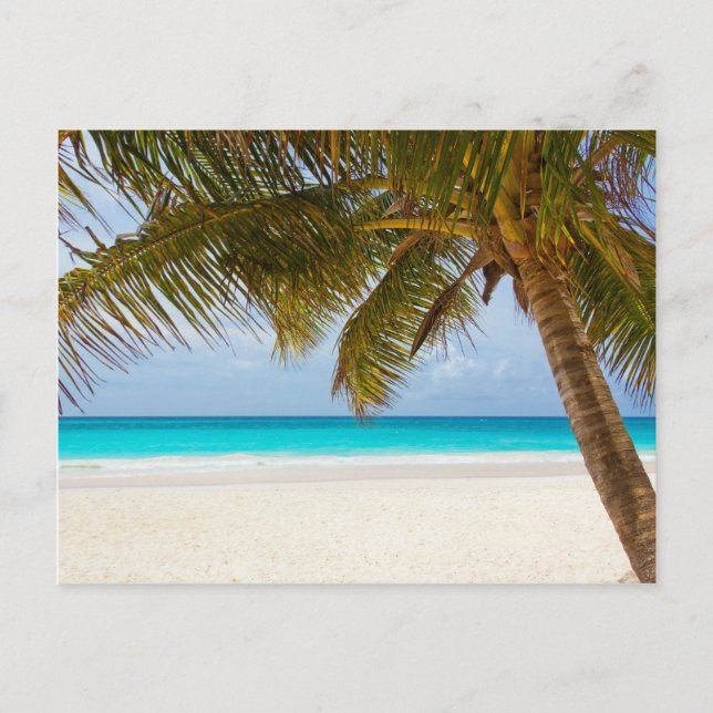 Carte Postale Wish you were ! (Devant)