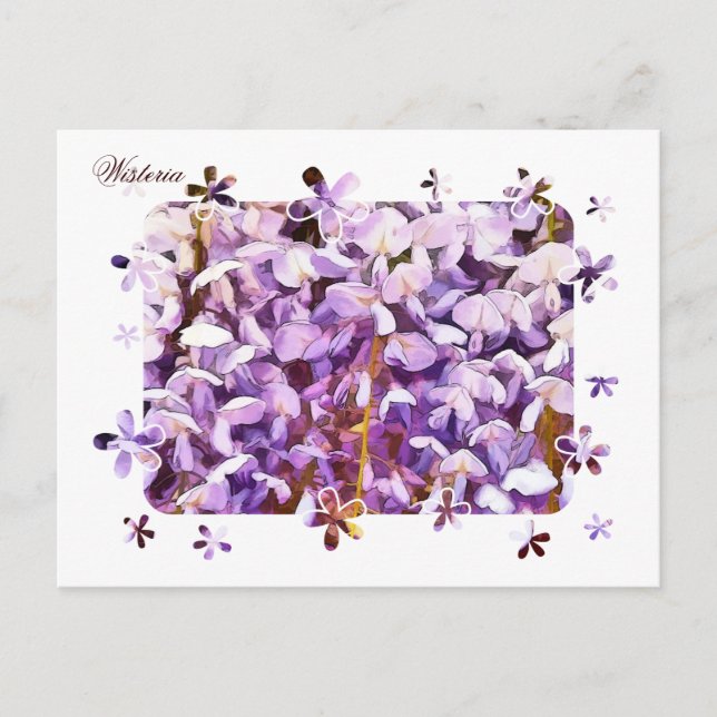 CARTE POSTALE WISTERIA (Devant)