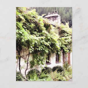 CARTE POSTALE WISTERIA COTTAGE