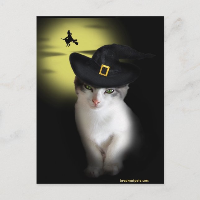 Carte postale Witch Kitten (Devant)