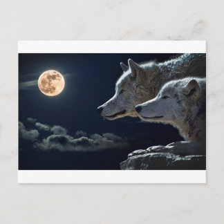 Carte Postale Wolf Gifts