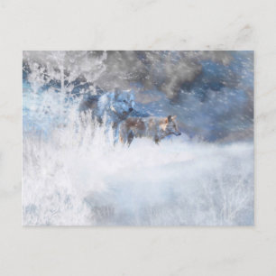 CARTE POSTALE WOLF HITER TERRITOIRES