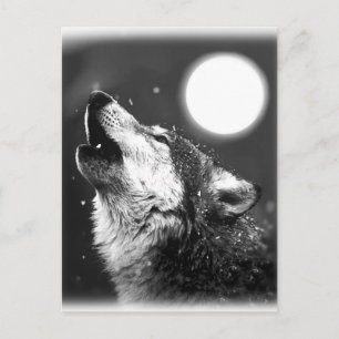 Carte Postale Wolf Howling à Moon
