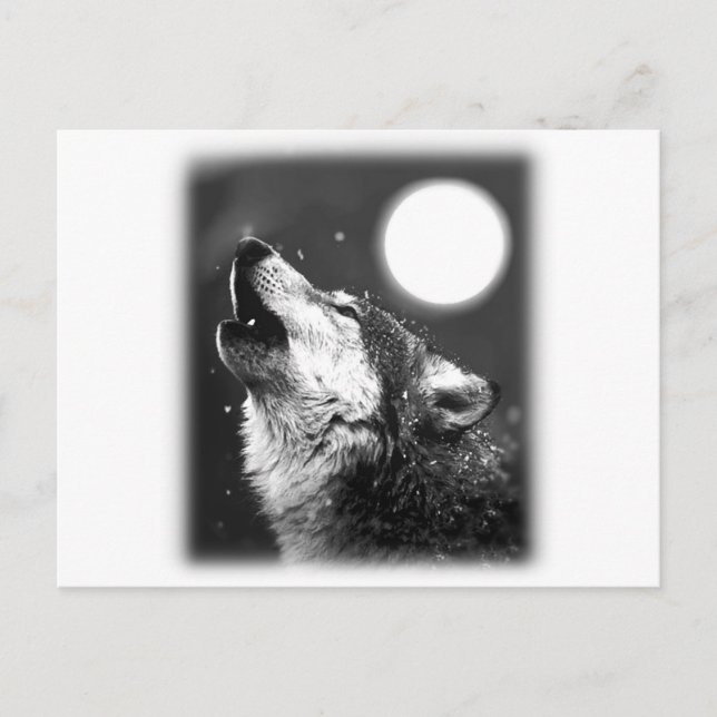 Carte Postale Wolf Howling à Moon (Devant)