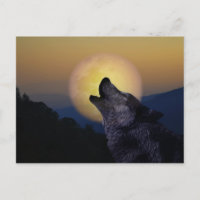 Wolf hurle sur la lune