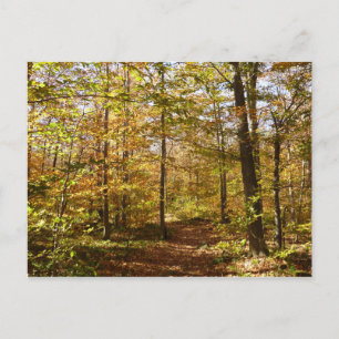 Carte Postale Wolf Rocks Trail en automne Pennsylvanie Paysage