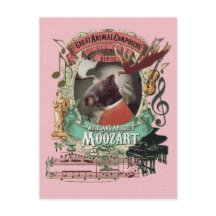 Wolfgang Amadeus Moozart Moose Animal Composer