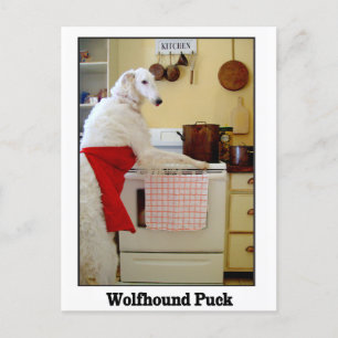 Carte Postale Wolfhound Puck