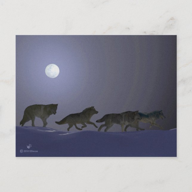 Carte Postale Wolfpack (Devant)