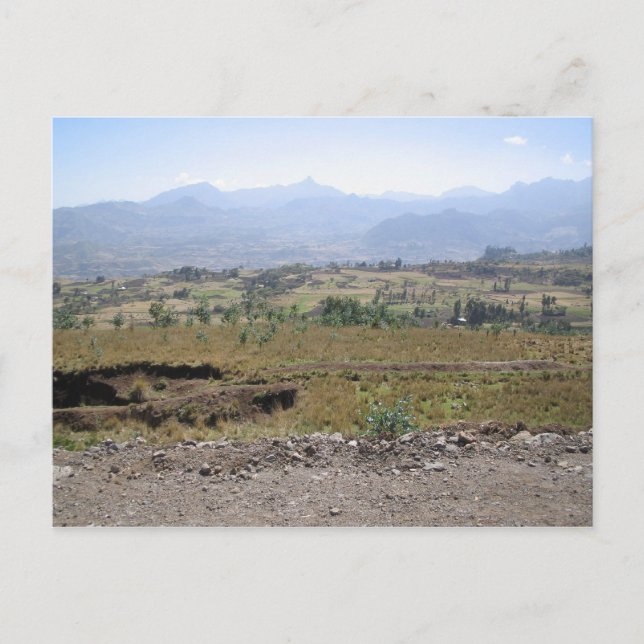 Carte Postale Wollo (Devant)