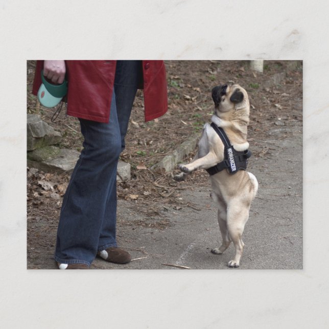 Carte Postale Womanizer (Devant)