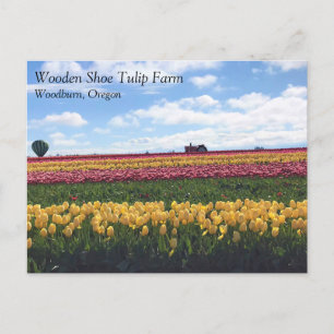 Carte Postale Wooden Shoe Tulip Farm, Woodburn, Oregon