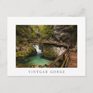 Carte Postale Wooden walkway through Vintgar Gorge canyon