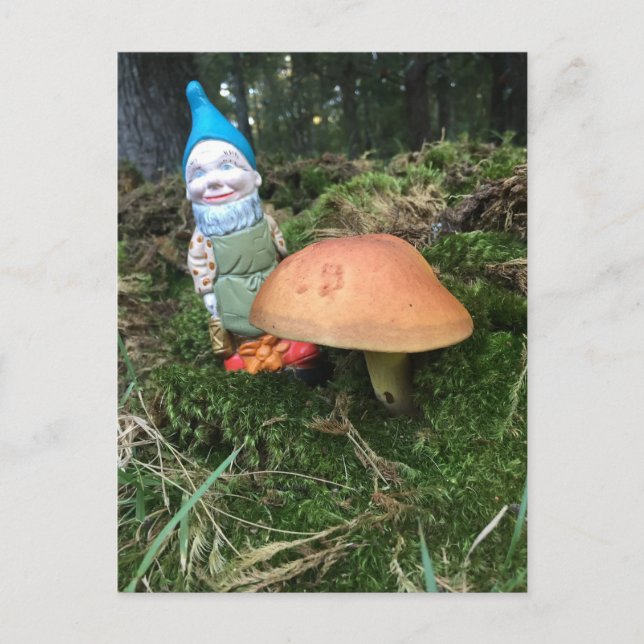 Carte Postale Woodland Gnome (Devant)