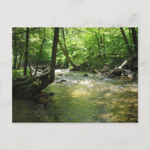 Carte postale "Woodland Stream"