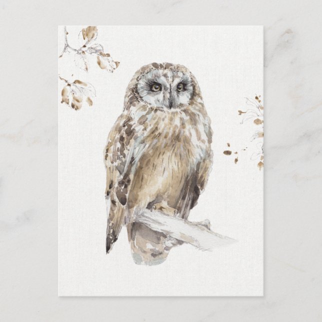 Carte Postale Woodland Walk (Devant)