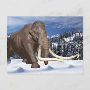 Carte postale Wooly Mammoth