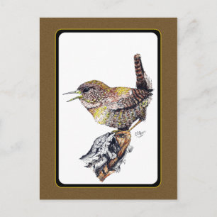 Carte postale Wren en encre