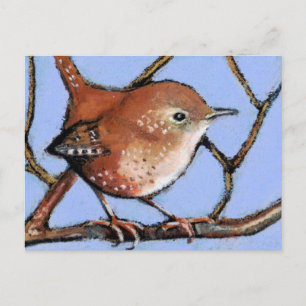 Carte Postale WREN, OISEAU, en Pastel à l'huile