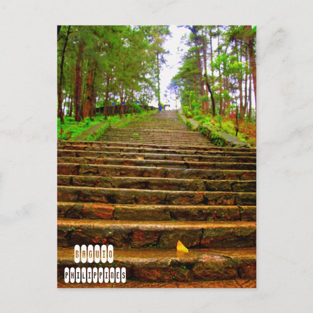 Carte Postale Wright Park à Baguio (Devant)