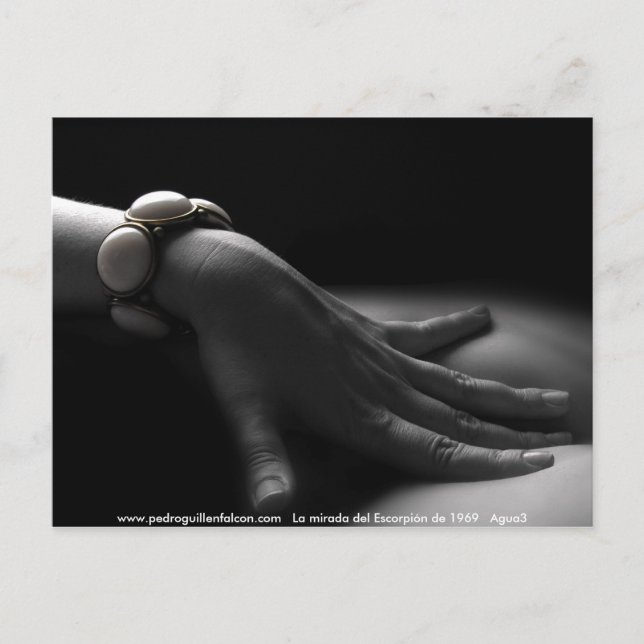 Carte Postale www.pedroguillenfalcon.com (Devant)