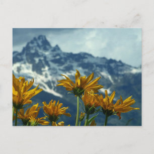 Carte Postale Wyoming