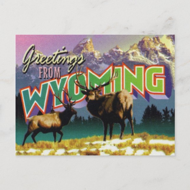 Carte postale Wyoming (Devant)