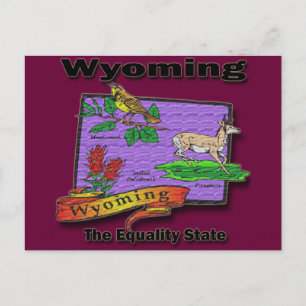Carte Postale Wyoming The Equality State Bird Cher Bush