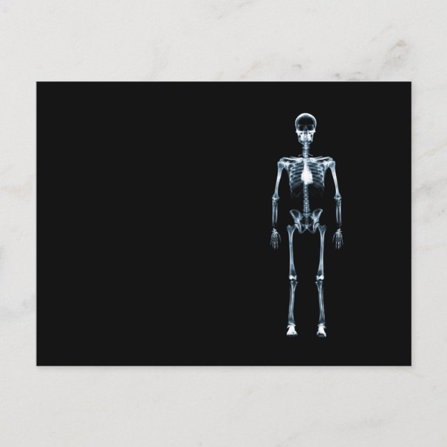Carte Postale X-Ray Vision Blue Single Skeleton (Devant)