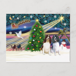 Carte Postale Xms Magic-2EngSpringer LivWht+Blk