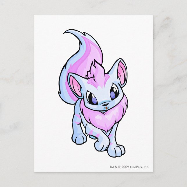 Carte Postale Xweetok trié (Devant)