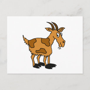 Carte Postale XX- Chèvre caricaturale amusante