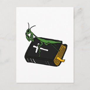 Carte Postale XX- Mante religieuse sur une Bible