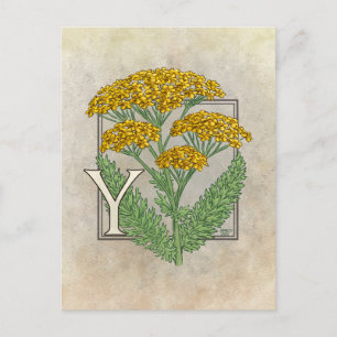 Carte Postale Y pour l'alphabet de fleurs de Yarrow