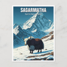 Yak au Parc national de Sagarmatha au Népal