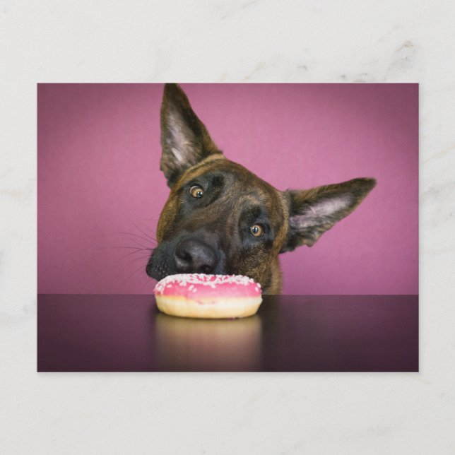 Carte Postale Yamm Yamm (Devant)