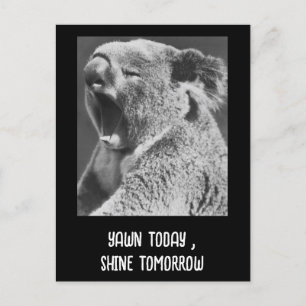 Carte Postale Yawning Koala, phrase amusante