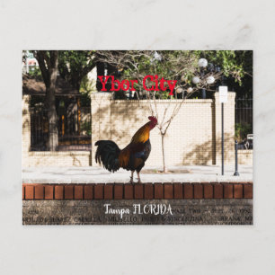 Carte Postale Ybor City, Tampa FLORIDA 