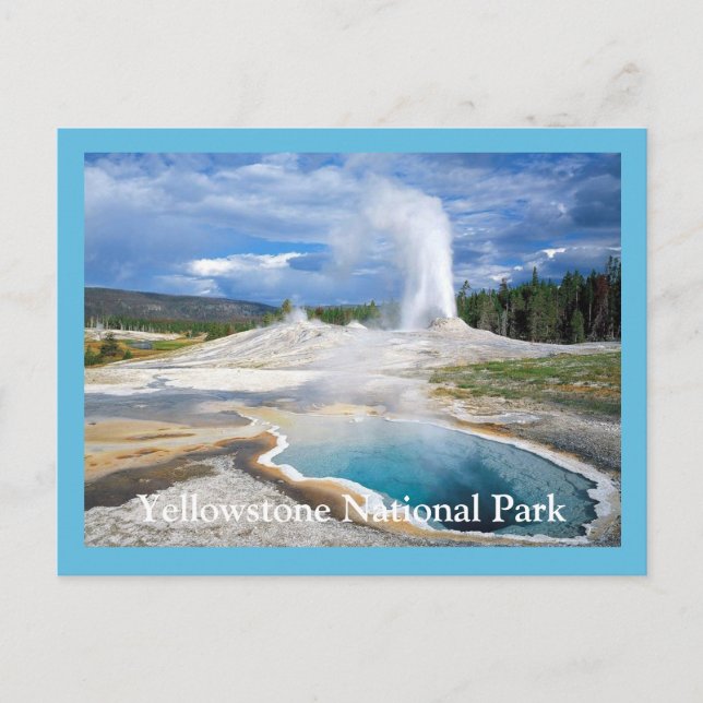 Carte postale Yellowstone Geyser (Devant)