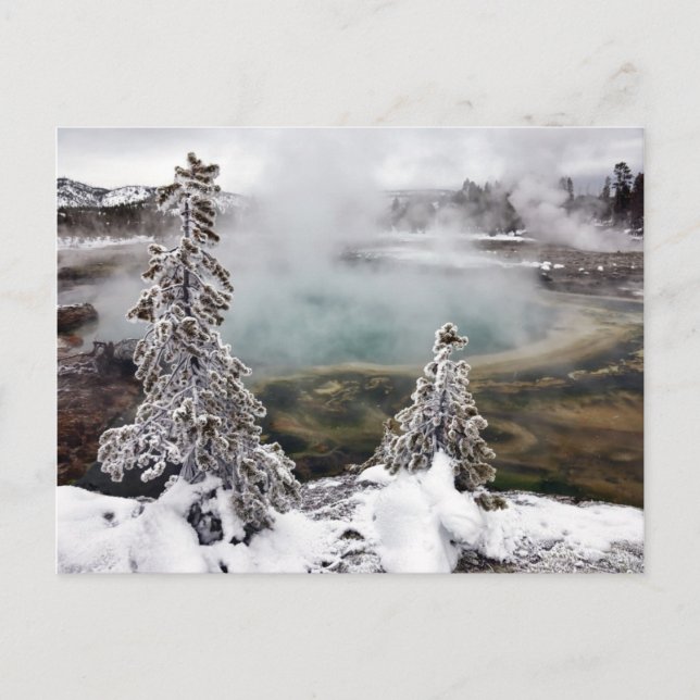 Carte Postale Yellowstone neigeux (Devant)